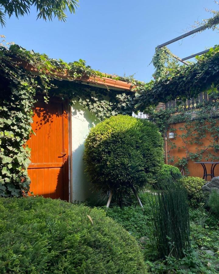 The Zodiac Garden Hotel Mtskheta Luaran gambar